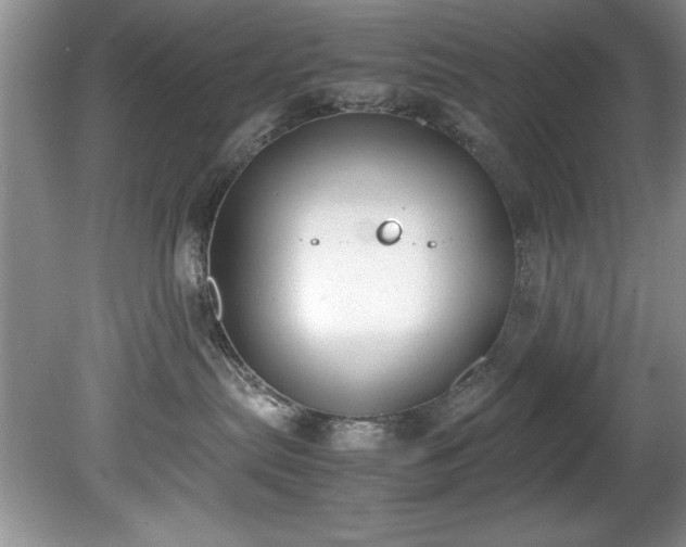 X0000081570287200701221101