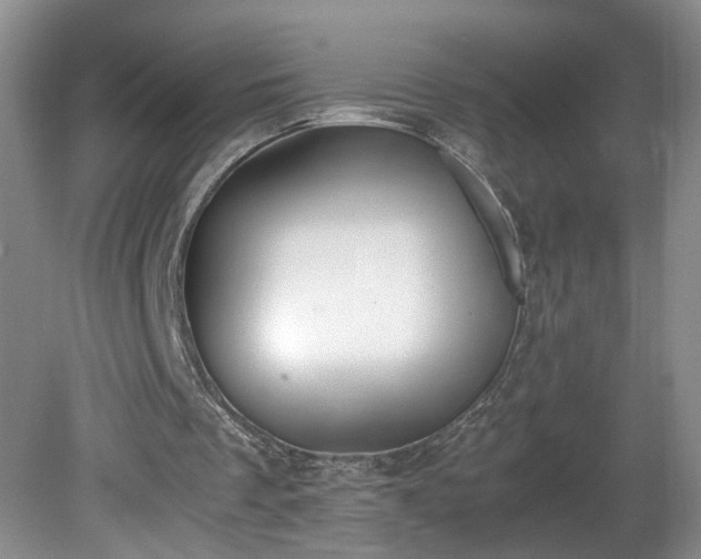 X0000081570289200701221100