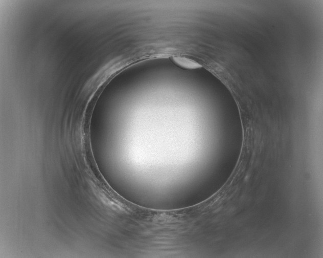 X0000081570290200701221100