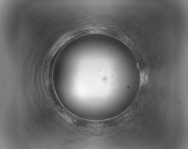 X0000081570291200701221100