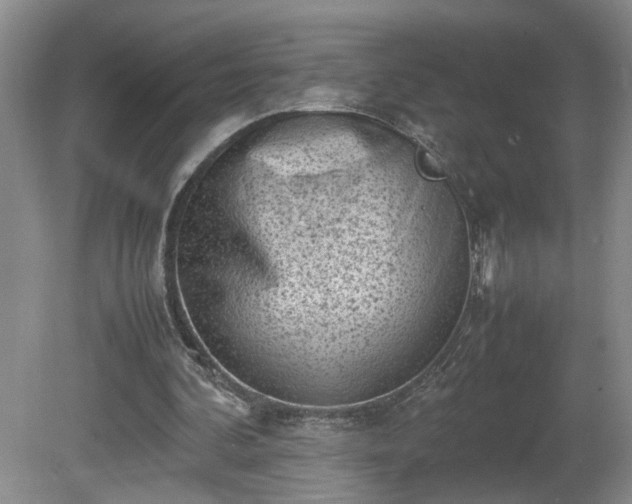 X0000081570292200701221100