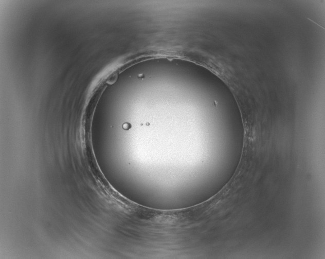 X0000081570294200701221100