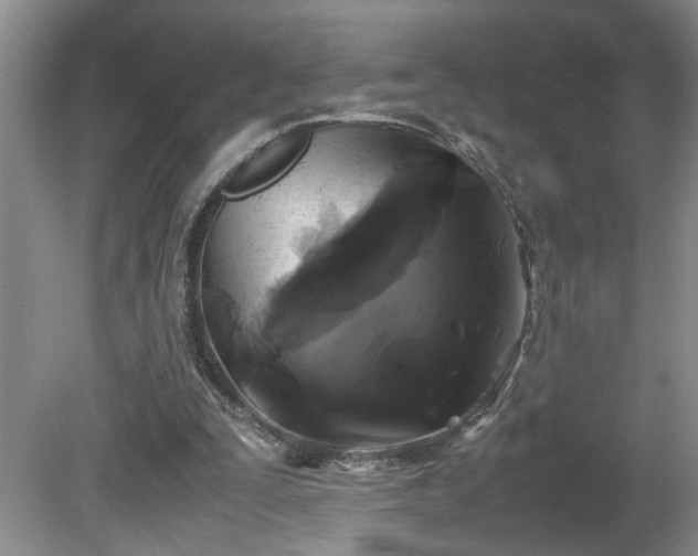 X0000081570295200701221100