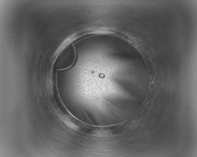 X0000081570296200701221100