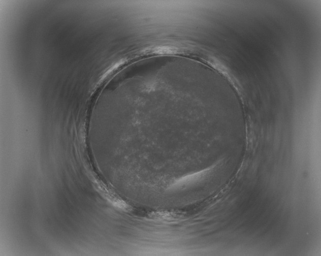 X0000081570297200701221100