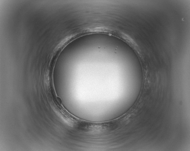 X0000081570298200701221100