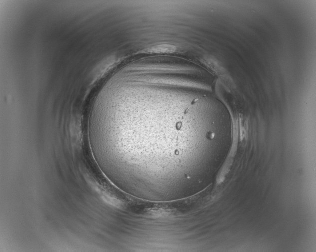 X0000081570300200701221100