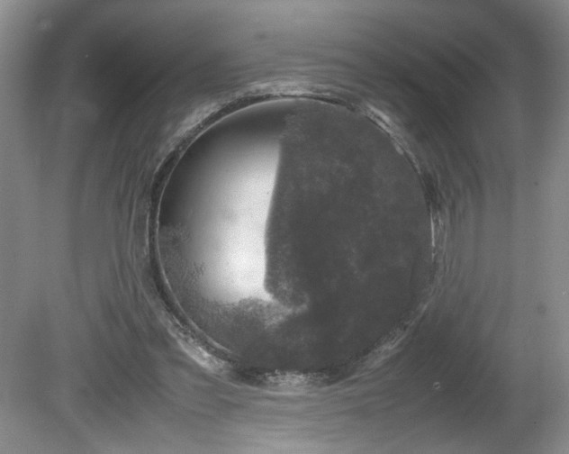 X0000081570301200701221100