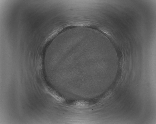 X0000081570303200701221100