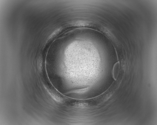 X0000081570304200701221100