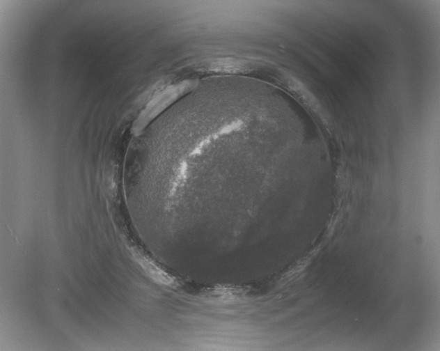 X0000081570305200701221100