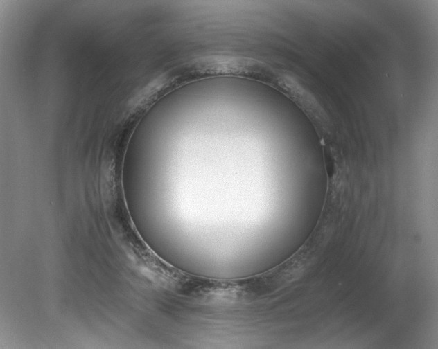 X0000081570306200701221100