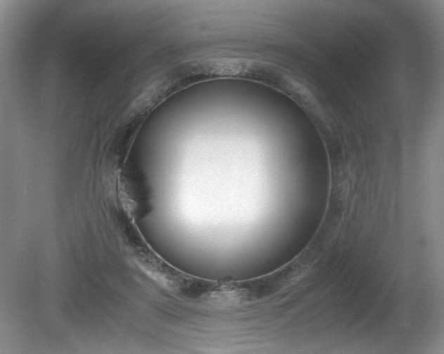 X0000081570307200701221100