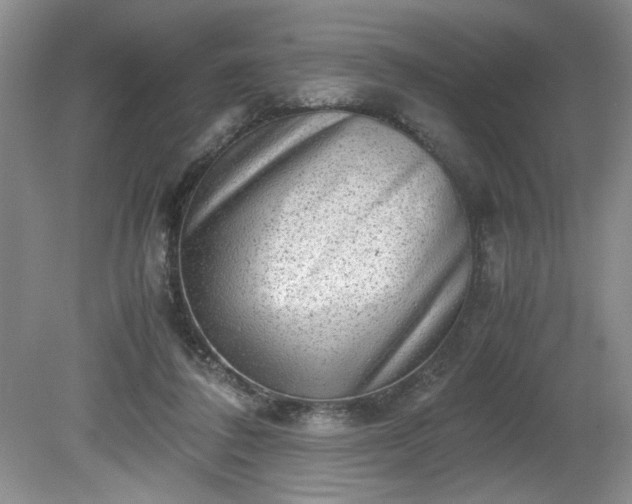 X0000081570308200701221100