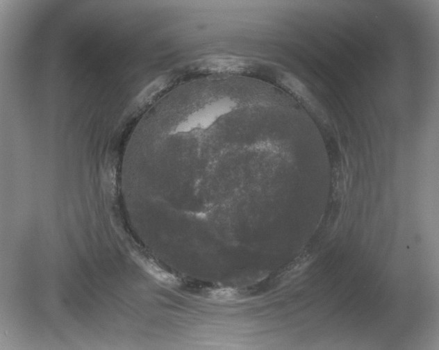 X0000081570309200701221100