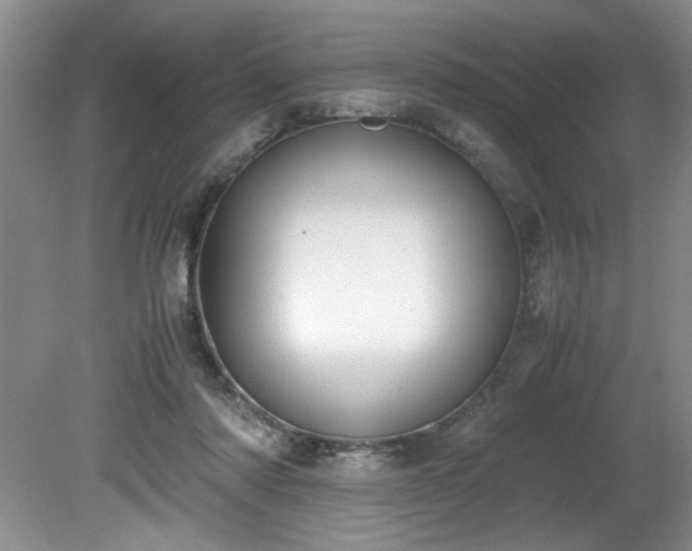 X0000081570310200701221059