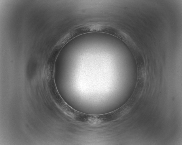 X0000081570311200701221059