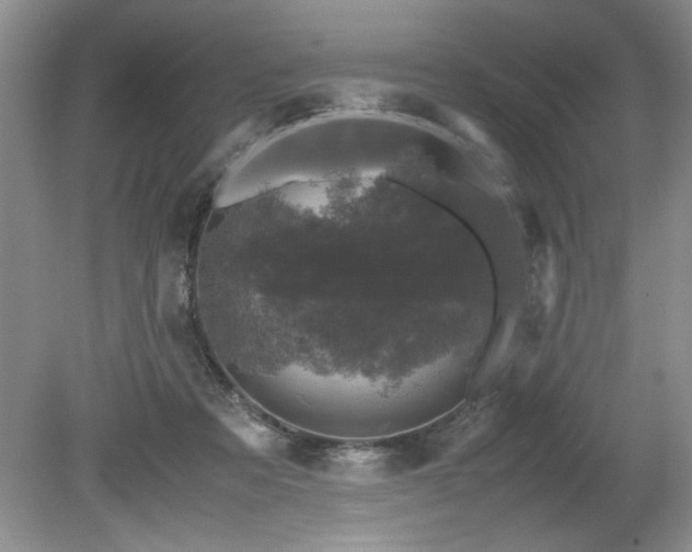 X0000081570313200701221059