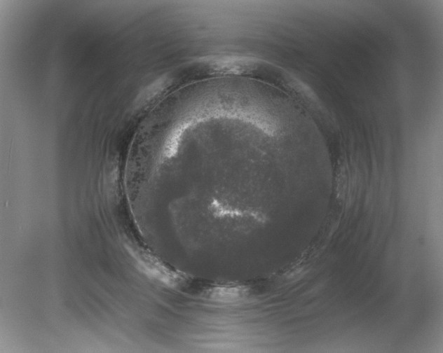 X0000081570314200701221059