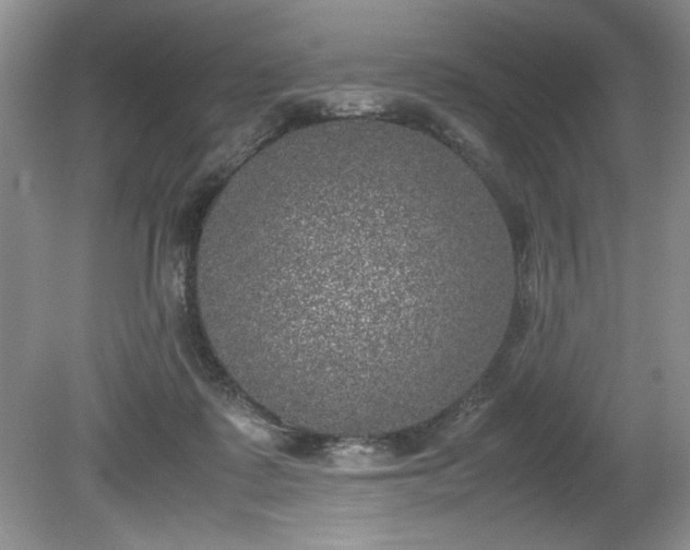 X0000081570315200701221059