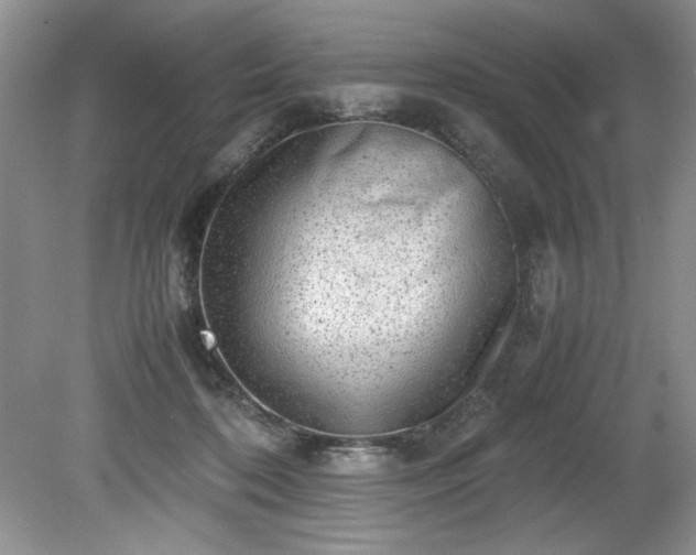 X0000081570316200701221059