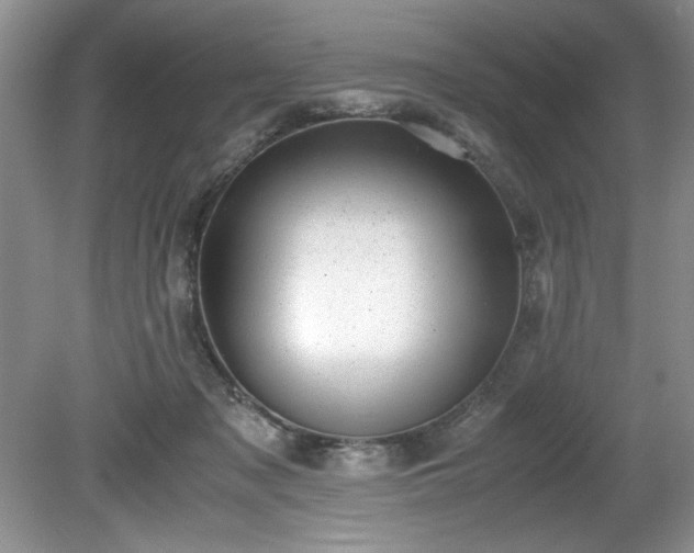 X0000081570317200701221059