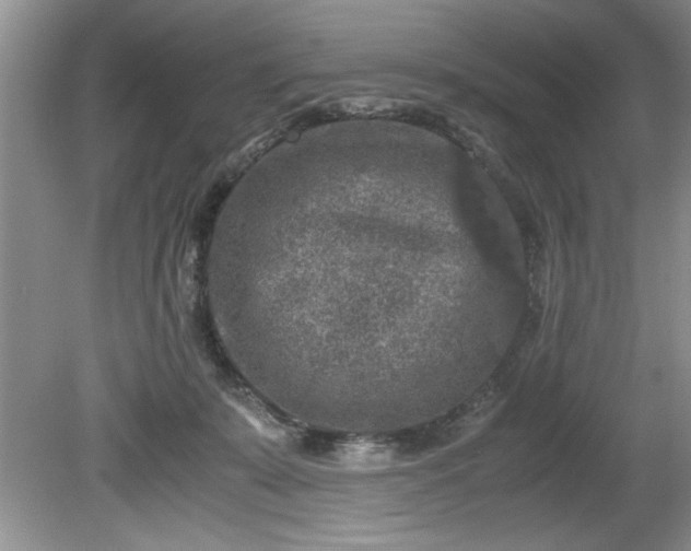 X0000081570319200701221059