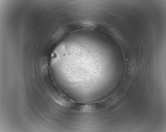 X0000081570320200701221059