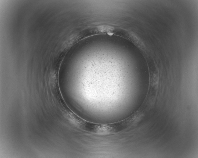 X0000081570321200701221059