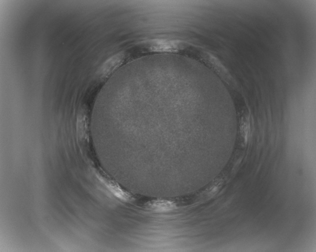 X0000081570322200701221059