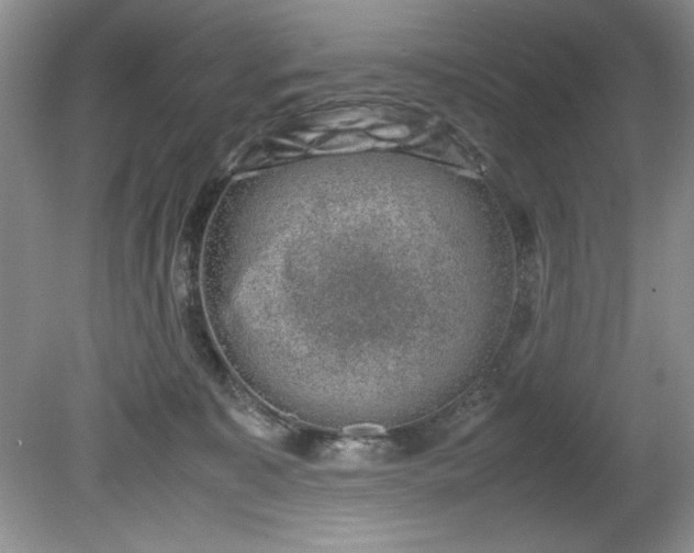 X0000081570323200701221059