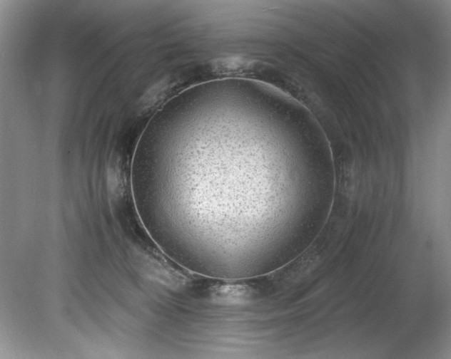 X0000081570324200701221059