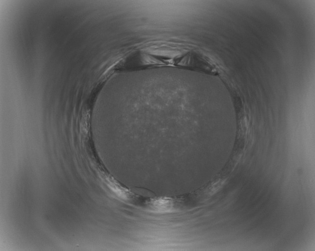 X0000081570325200701221059