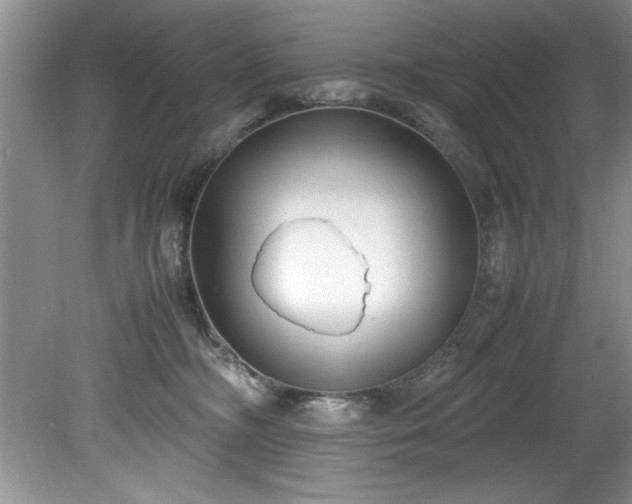 X0000081570326200701221059