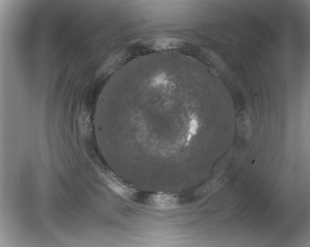 X0000081570327200701221059