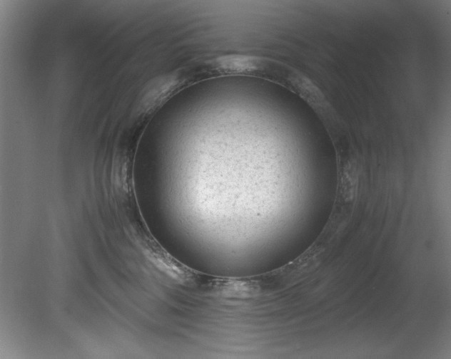 X0000081570330200701221059