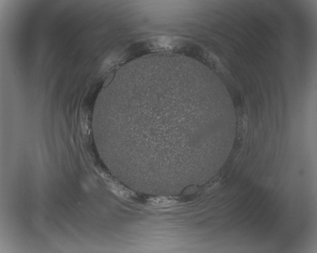 X0000081570331200701221059