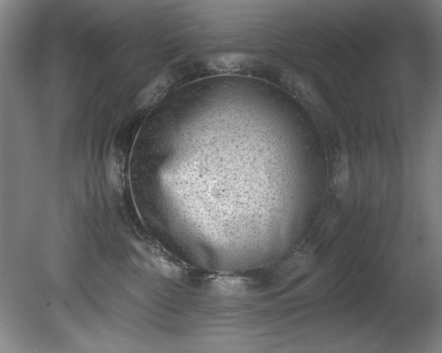 X0000081570332200701221059