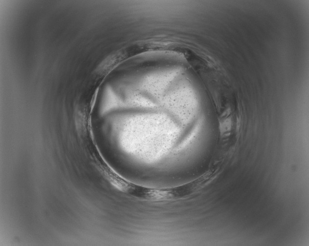 X0000081570333200701221059