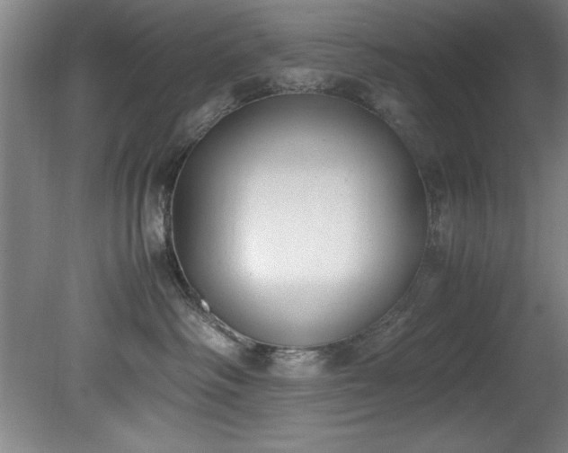 X0000081570334200701221059