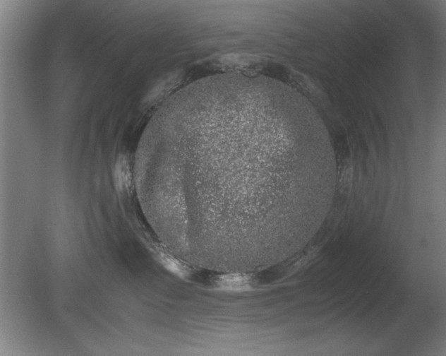 X0000081570335200701221059