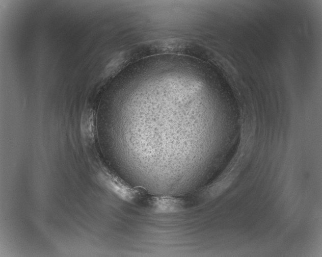 X0000081570336200701221059