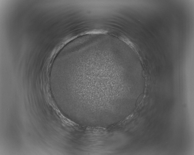 X0000081570337200701221058