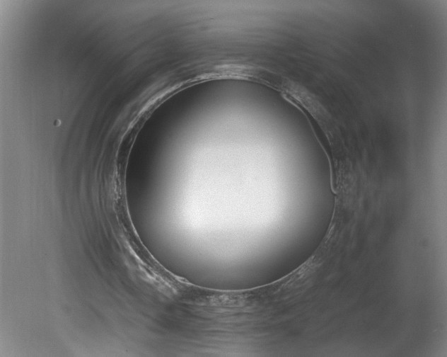 X0000081570338200701221058