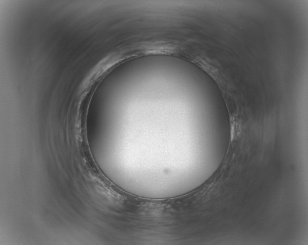 X0000081570339200701221058