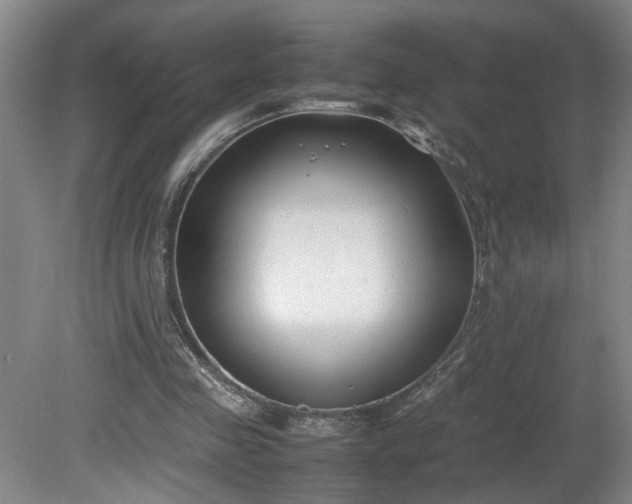 X0000081570341200701221058