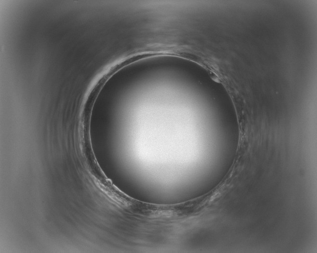 X0000081570342200701221058