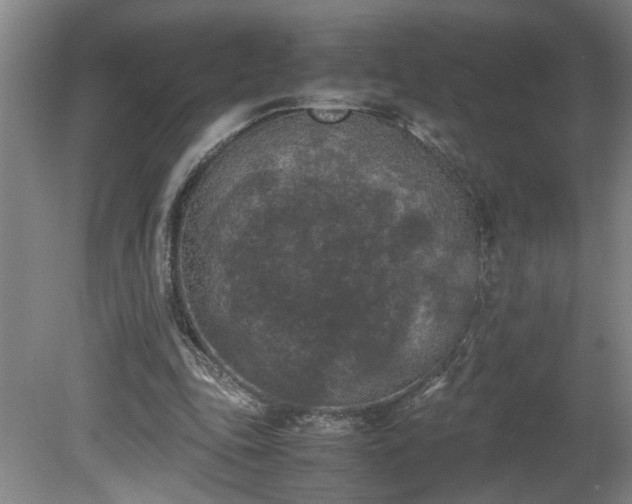 X0000081570343200701221058