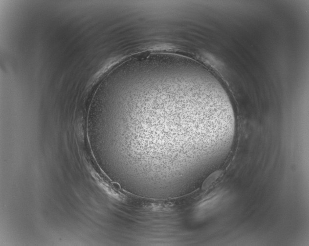 X0000081570345200701221058