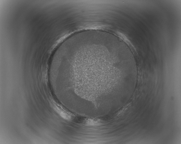 X0000081570346200701221058